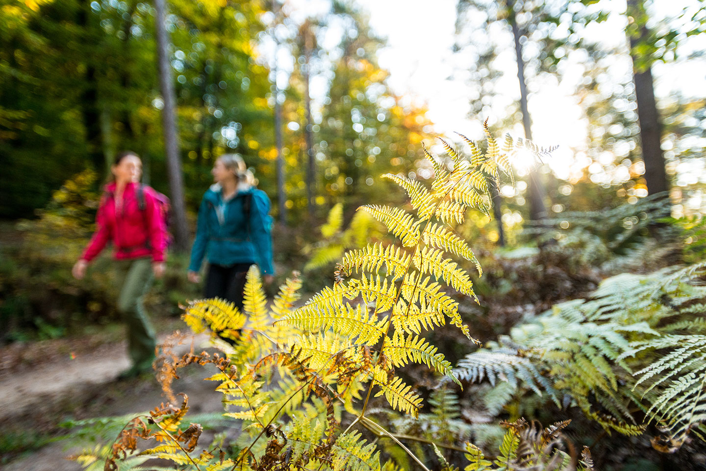 Wanderer am Schlüsselstein