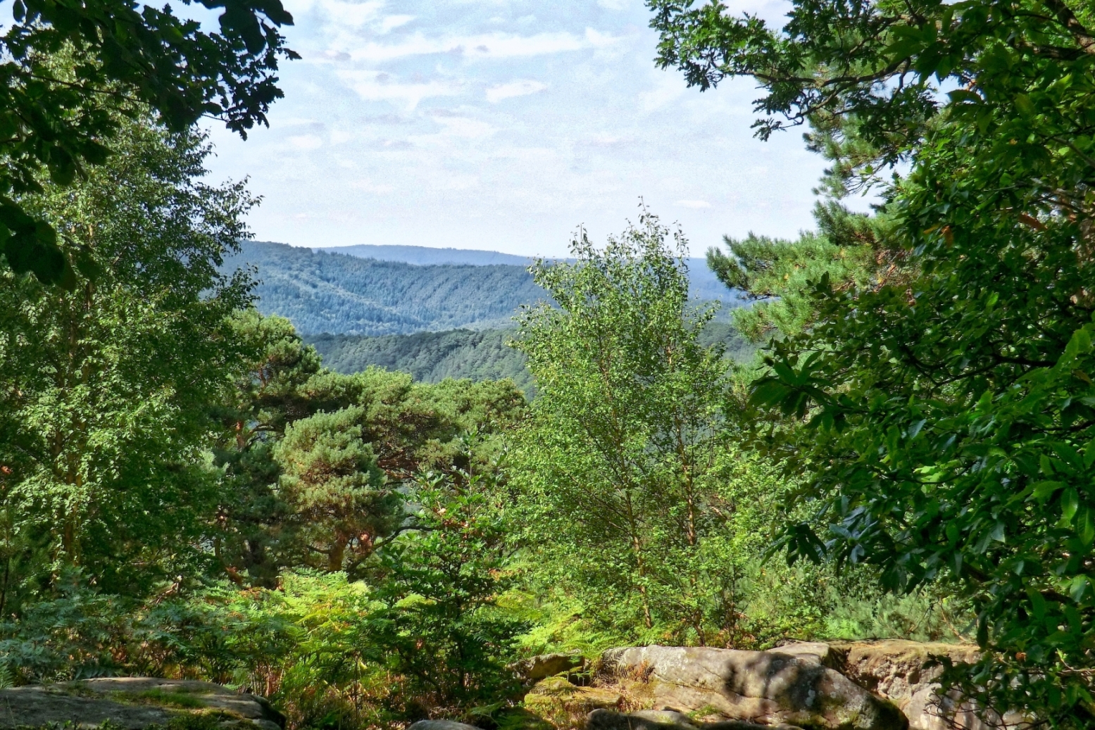 Blick auf den Pfälzer Wald bei Neustadt