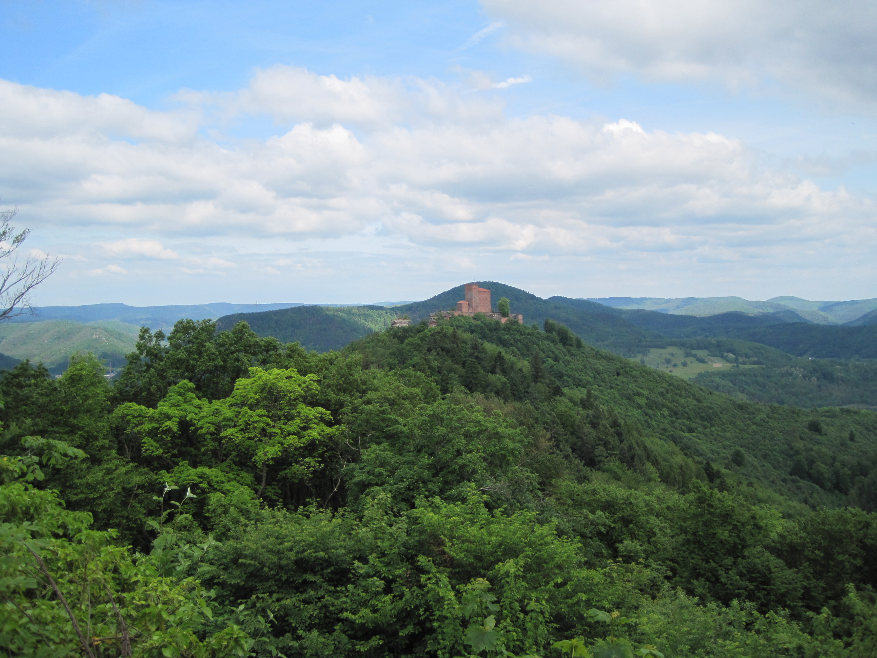 Wernersberg Trifelsblick, Sicht auf die Burg