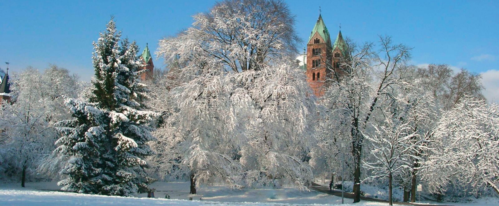 Der eingeschneite Domgarten in Speyer 