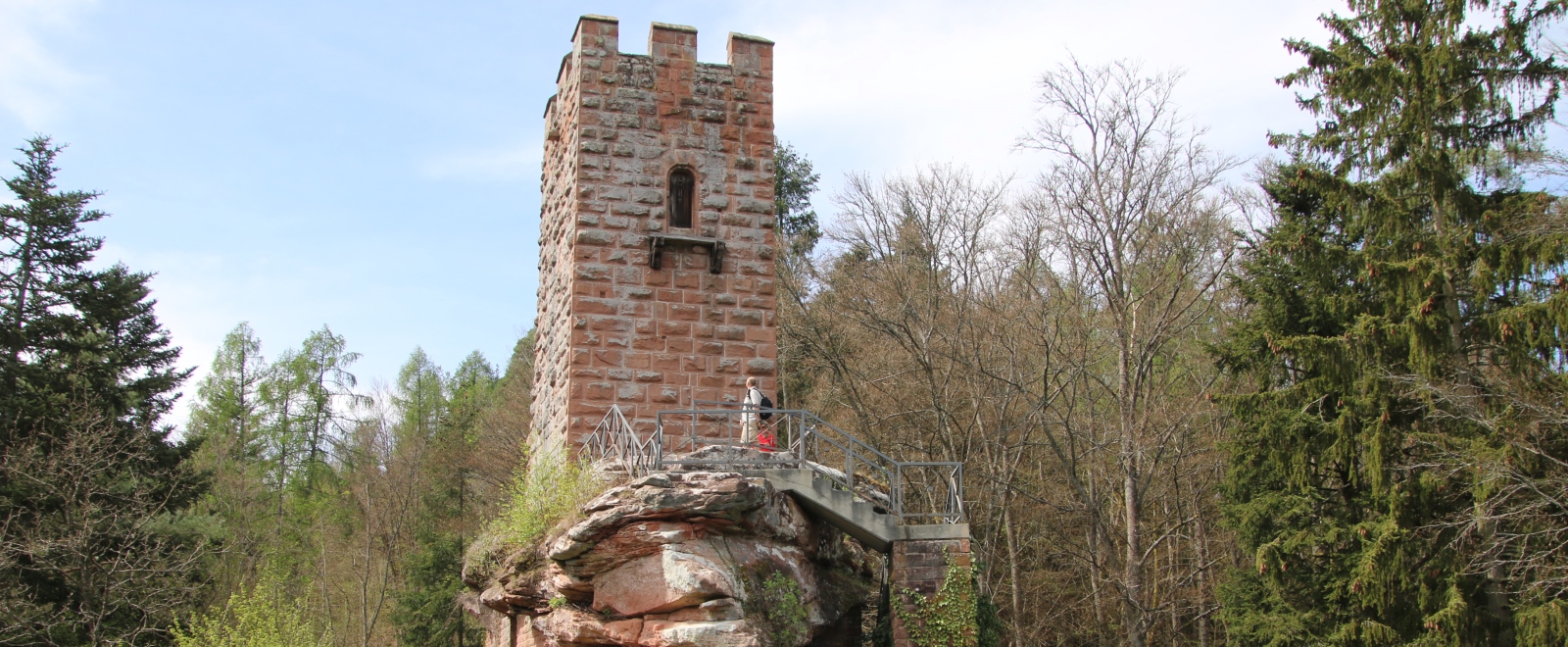 Blick auf Burg Erfenstein