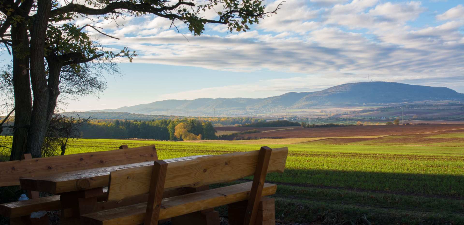 Aussicht während einer Wanderung auf dem Adolf-von-Nassau Wanderweg