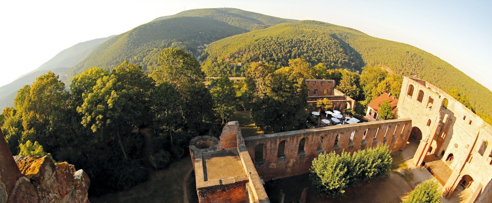 Blick von oben auf die Klosterruine Limburg