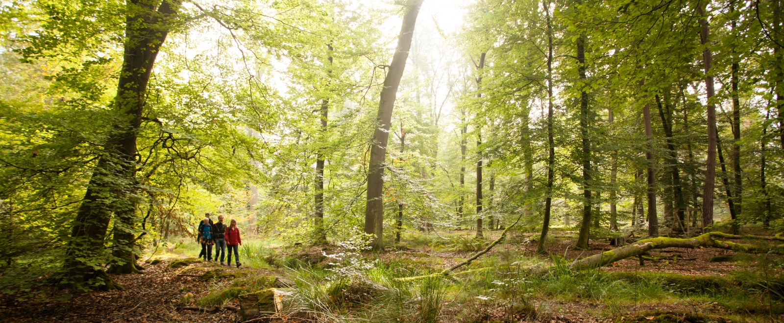 Wanderer auf dem Schaidter Westwallweg