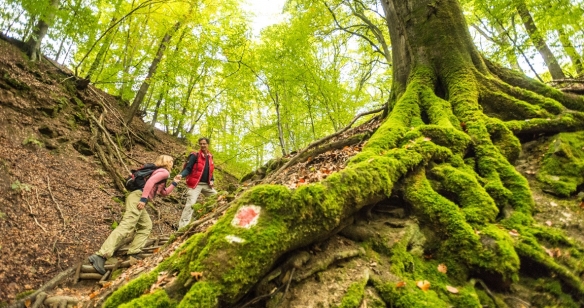 Dieterswald an der Teufelstour