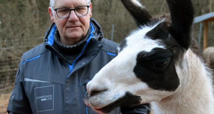 Wanderer mit Lama in der Nahaufnahme