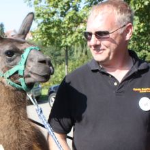 Rudolf Klotz mit einem Lama